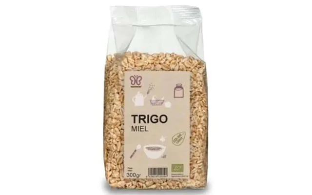Naturcid Wheat Honey 300gr. Eco**