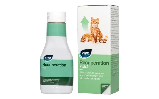 Nutritious Drink With Probiotic Action For Cats Viyo Recuperation - 150 Ml