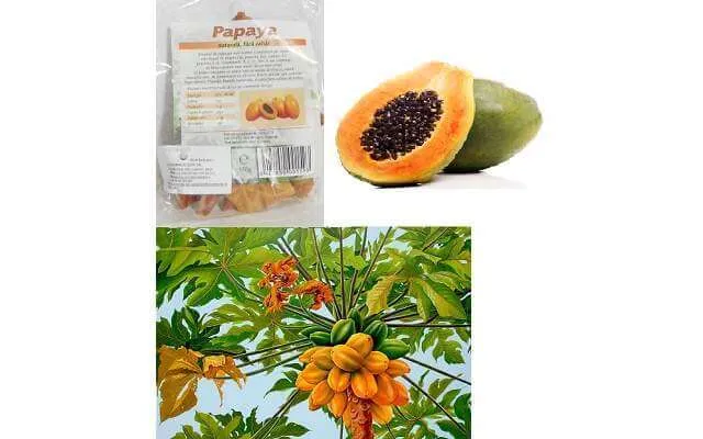 Papaya Bio Chunks - 150 G