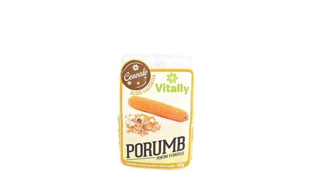 Popcorn - 100 G