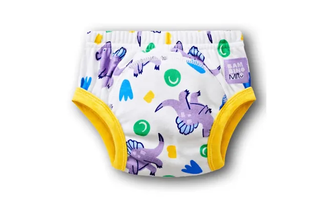 Potty Training Panties - 2-3 Years
