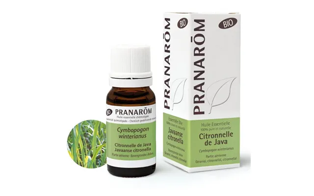 Pranarôm Essential Oils Organic Java Lemongrass Essential Oil 10 Ml