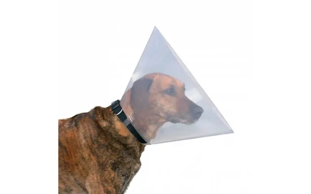 Protective Collar For Dogs And Cats 22-25 10 Cm