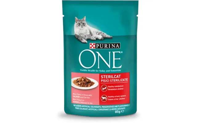 Purina One Wet Cat Food With Salmon - 85 G product image