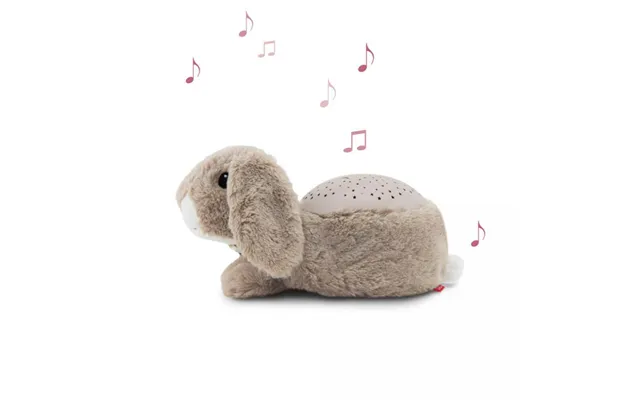 Ruby Bunny Musical Projector Or Night Light