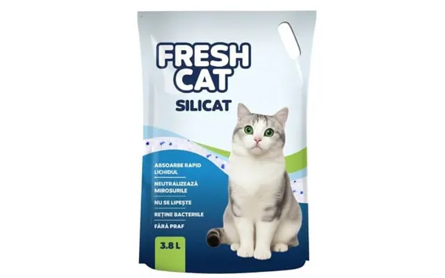 Silicate Cat Litter For Cats - 3800 Ml
