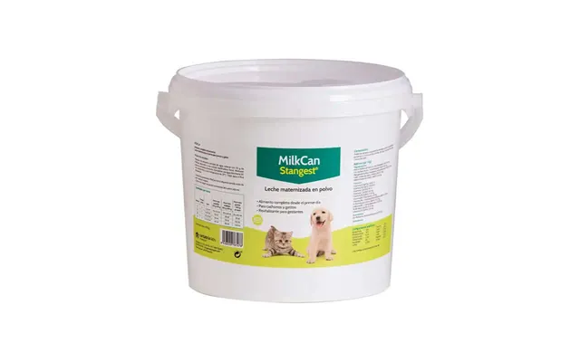 Stangest Milk Milk Powder Milkcan - 2 Kg