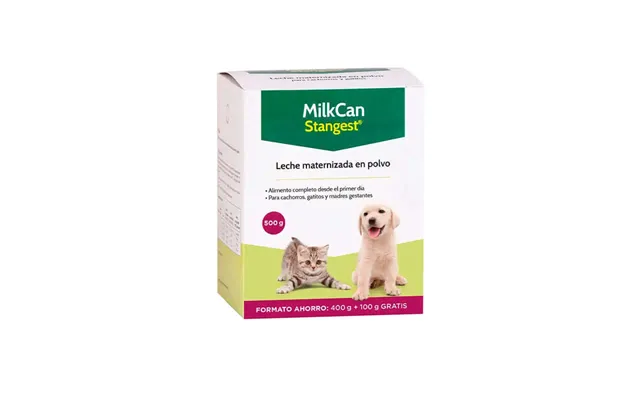 Stangest Milk Powder Milk Milkcan 500 G