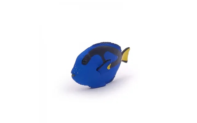 Surgeon Fish Figurine - 3 Years