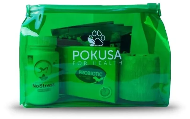 Temptation For Health Dog First Aid Kit Activated Charcoal