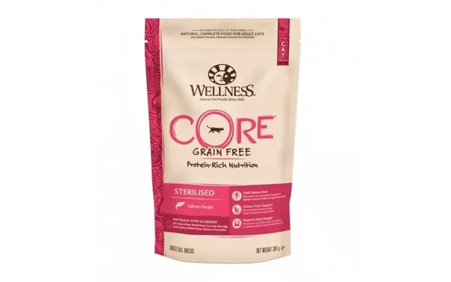 Wellness Core Core Dry Sterilized Dry Food With Salmon - 300 G