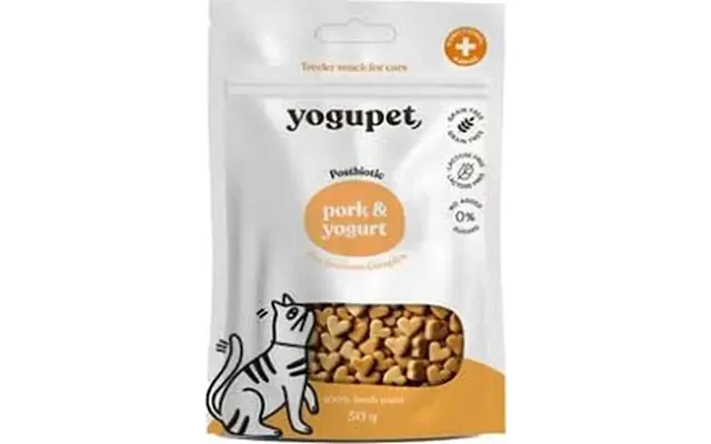 Yogupet Semi-moist Cat Snack Salmon & Kefir Flavor - 50 Grams