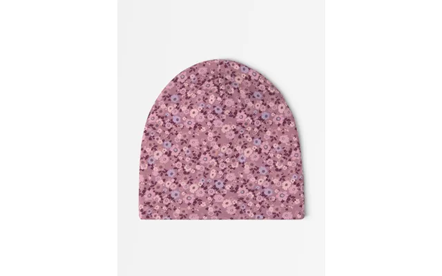 Beanie With Lining product image