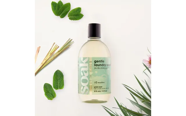 Soak Laundry Wash 375ml - Wild Mint 375ml product image