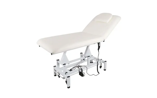 Electric Adjustable Reclining Tattoo Chair - Portable Salon Spa Bed