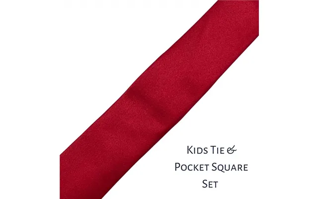 Cavani Boy's Tie & Pocket Square Set In Red - One