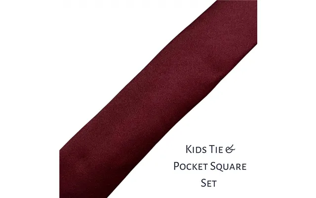 Cavani Boy's Tie & Pocket Square Set In Wine - One