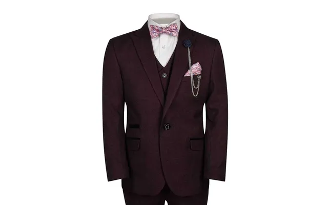 Cavani Caridi Boys Suit In Wine - 8y