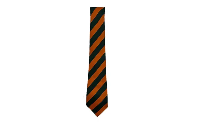 Turner Colaiste Feirste Junior School Tie In Orange - One