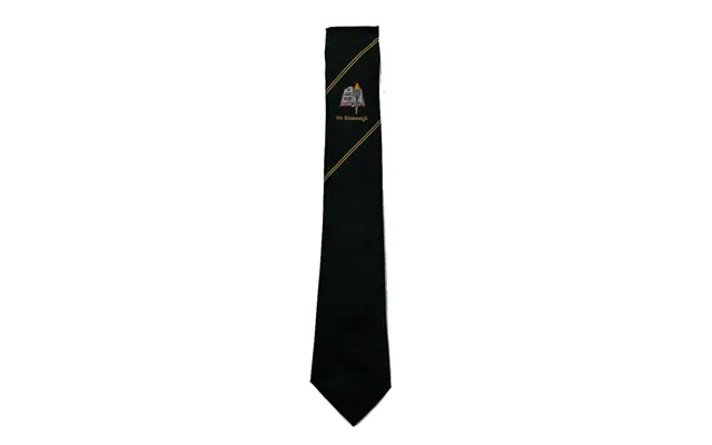 Turner Colaiste Feirste Senior School Tie In Dk Green - One