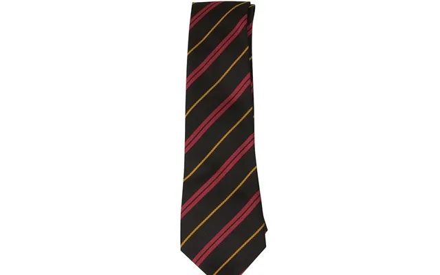 Turner De La Salle School Tie In Red - 5