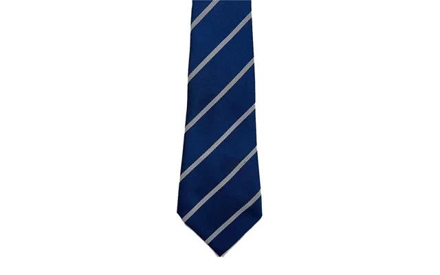 Turner Rathmore Junior Striped Tie In Blue - One