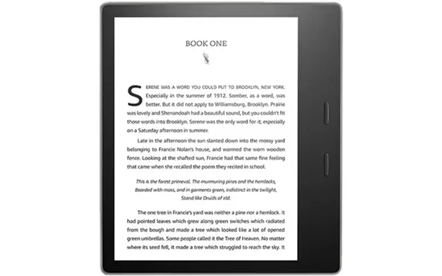 Amazon Kindle Oasis 2019 8gb Wi-fi - Graphite Grade Good Used