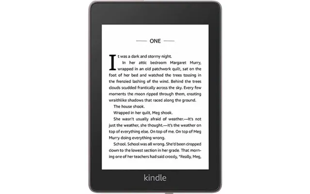 Amazon Kindle Paperwhite 4 10th Gen Wi-fi 32 Gb 2018 Plum Grade Good Used