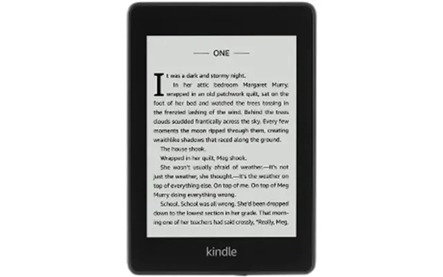 Amazon Kindle Paperwhite 4 10th Gen Wi-fi 8 Gb 2018 Black Grade Fair Used