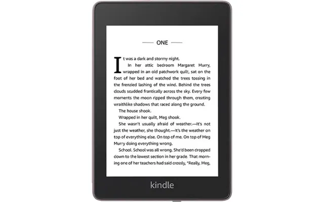 Amazon Kindle Paperwhite 4 10th Gen Wi-fi 8 Gb 2018 Plum Grade Good Used