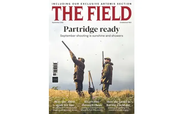 The Field
