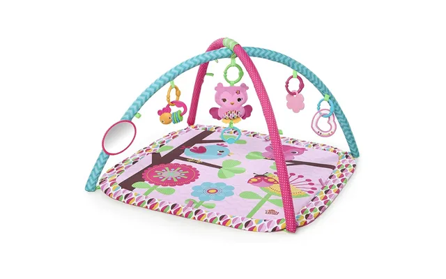 Bright Starts Charming Chirps Activity Play Gym