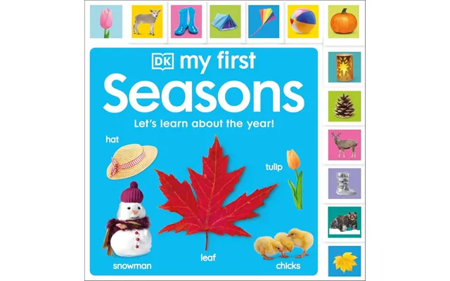 Dk My First Seasons Lets Learn About The Year Childrens Book