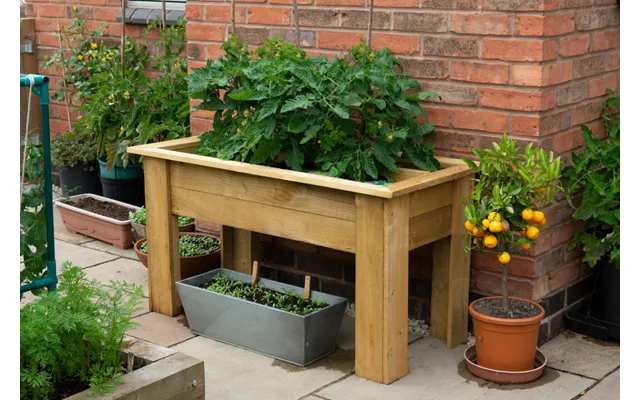 Grow Bag Tray Container - 1m Fsc Certified