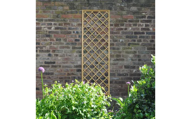 Hidcote Lattice - 180 X 60cm
