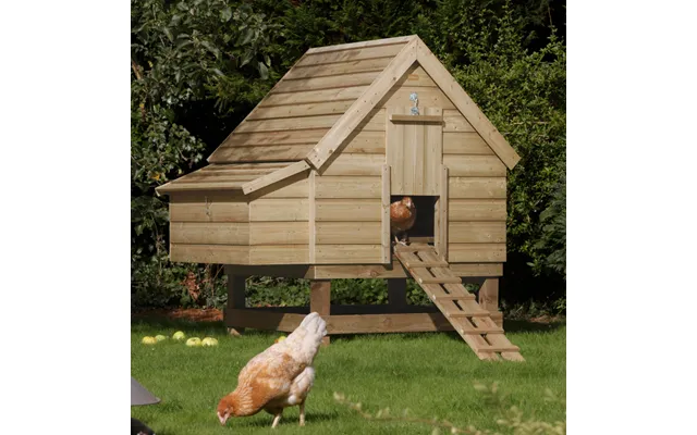 Rowlinson Chicken Coop