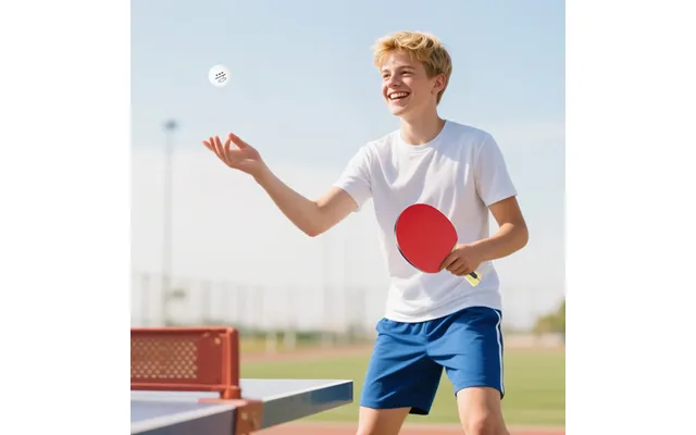 Portable Table Tennis Set With Four Rackets - Eight Balls