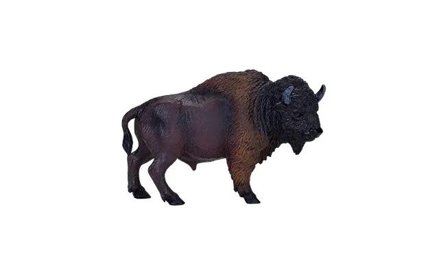 American Bison Buffalo
