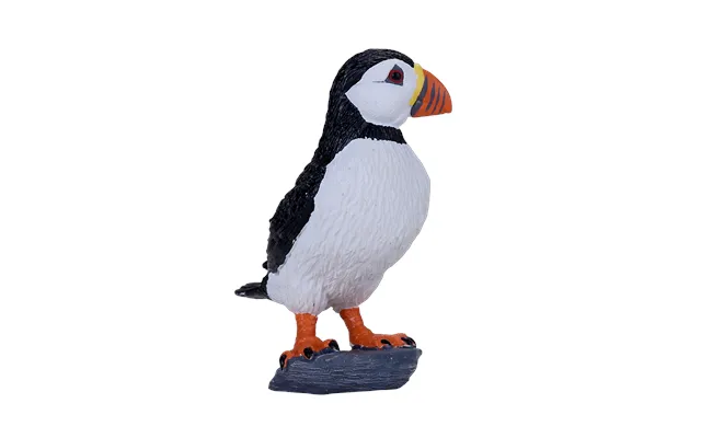 Atlantic Puffin