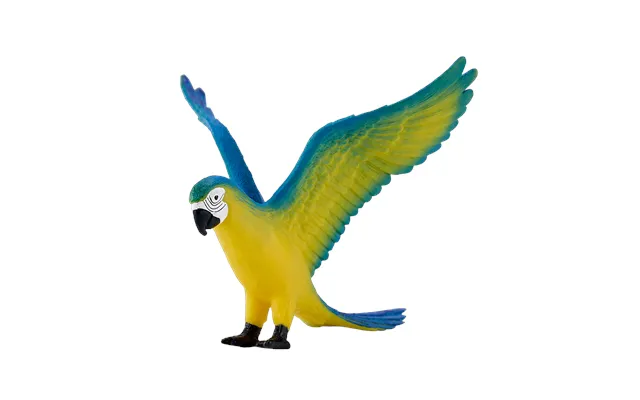 Blue Macaw Parrot