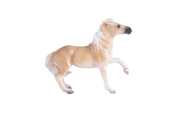 Brumby Mare