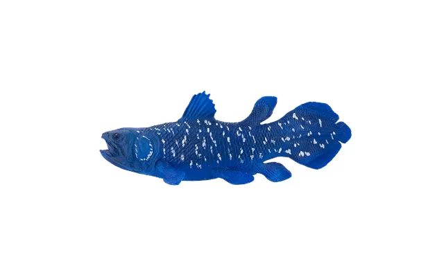 Coelacanth