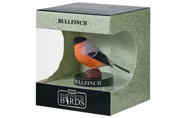 European Bullfinch