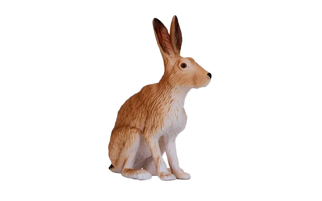 Hare