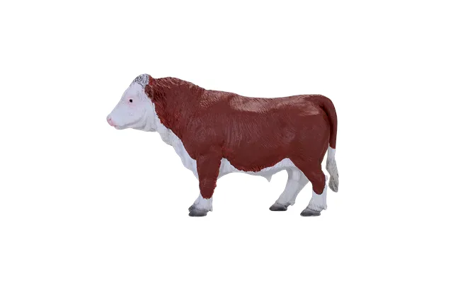 Hereford Bull