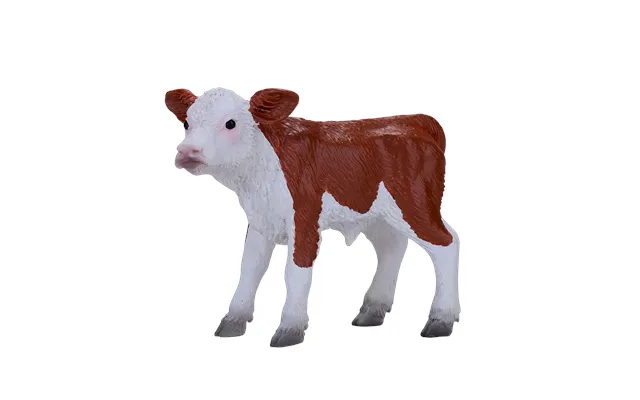 Hereford Calf