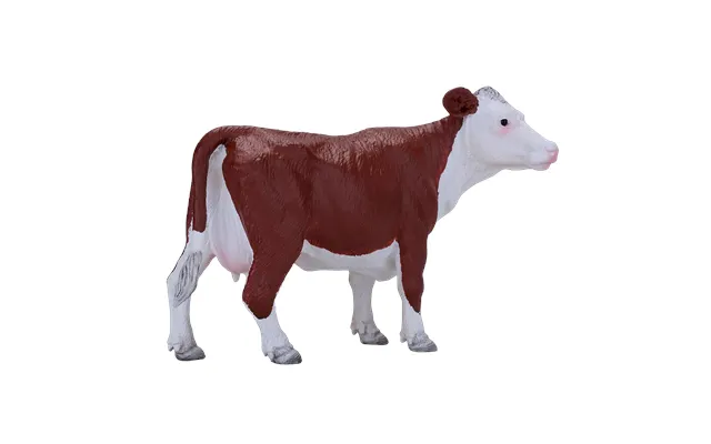 Hereford Cow