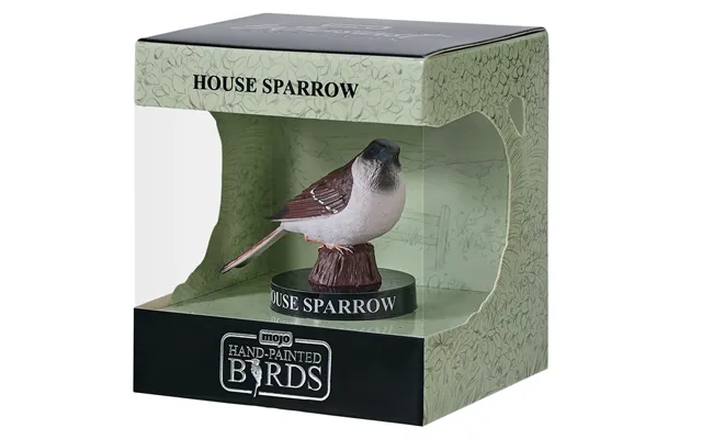 House Sparrow