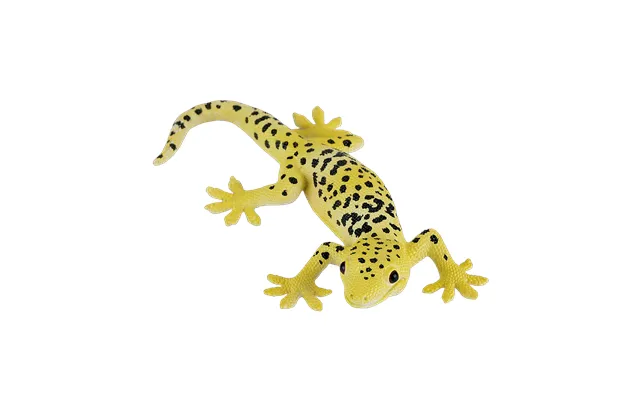 Leopard Gecko