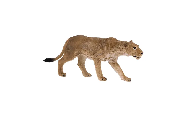 Lioness